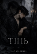 Обкладинка книги "Тінь "