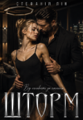Обкладинка книги "Шторм"
