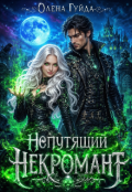 Обкладинка книги "Непутящий некромант"