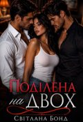 Обкладинка книги "Поділена на двох"