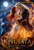 Обкладинка книги "Крилата. Небо для двох"