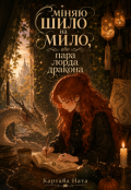 Обкладинка книги "Міняю шило на мило, або пара лорда дракона"