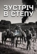 Обкладинка книги "Зустріч в Степу"