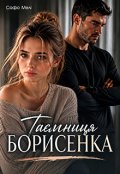 Обкладинка книги "Таємниця Борисенка"