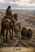 Обкладинка книги "Степ"