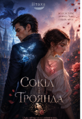 Обкладинка книги "Сокіл і троянда "