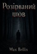 Обкладинка книги "Розірваний шов"