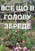 Обкладинка книги " Руйнівниця стереотипів або Все, що в голову збреде"