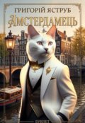 Обкладинка книги "Амстердамець Книга 1"