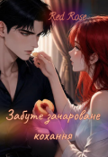 Обкладинка книги "Забуте зачароване кохання "