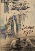 Обкладинка книги "&laquo;бесаме мучо&raquo; "