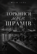 Обкладинка книги "Торкнися моїх шрамів "