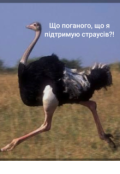Обкладинка книги "Що поганого, що я підтримую страусів?!"