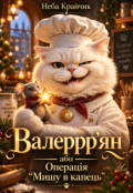 Обкладинка книги "Валеррр'ян, операція: Мишу в капець!"