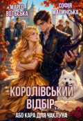 Обкладинка книги "Королівський відбір, або Кара для чаклуна"