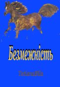 Обкладинка книги "Безмежність"