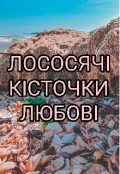 Обкладинка книги "Лососячі кісточки любові"