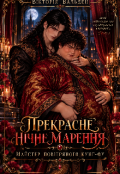 Обкладинка книги "Прекрасне нічне марення. Майстер повітряного кунг-фу"