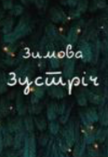 Обкладинка книги "Зимова зустріч "
