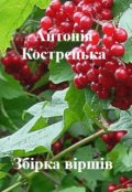Обкладинка книги "Збірка віршів"