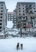 Обкладинка книги " Архітектура після падіння"