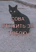 Обкладинка книги "Сова стежить за тобою"
