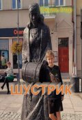 Обкладинка книги "Шустрик"