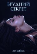 Обкладинка книги "Брудний секрет"