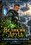Обкладинка книги "Великий Друїд і міжвимірні хроніки"