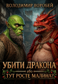 Обкладинка книги "Убити дракона, або Тут росте малина?"