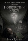 Обкладинка книги "Попелястий ключ"