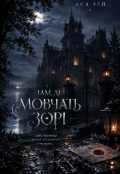 Обкладинка книги "Там, Де Мовчать ЗорІ"