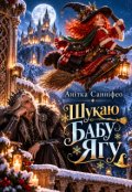 Обкладинка книги "Шукаю Бабу-Ягу"