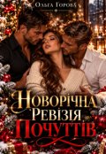 Обкладинка книги "Новорічна ревізія почуттів"