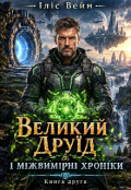 Обкладинка книги "Великий Друїд і міжвимірні хроніки"