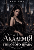 Обкладинка книги "Академія Тіньового Права"