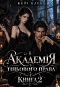 Обкладинка книги "Академія Тіньового Права 2"