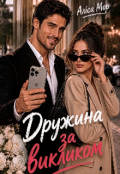 Обкладинка книги "Дружина за викликом"