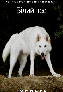 Білий пес