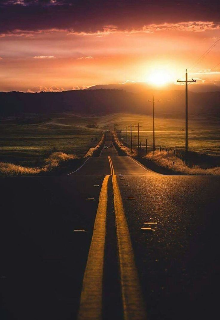 Дорога додому