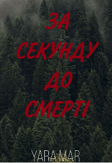 За секунду до смерті 