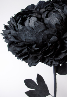 Я (не)впорядку 