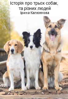 Історія про трьох собак та різних людей