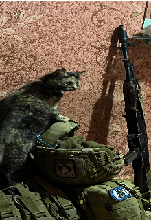 Збірник віршів написаних під час війни 