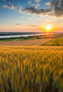 Україна / Ukraine 