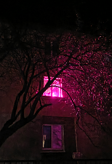 Самотність 