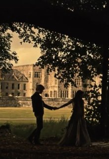 Квітка війни