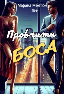 Провчити Боса