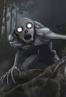 Відьмин ліс 