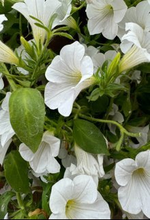 Минуле , хочеться забути 